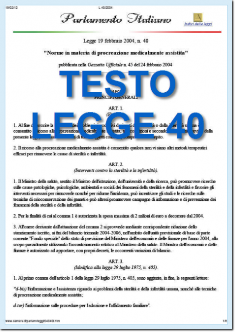 il testo della Legge 40